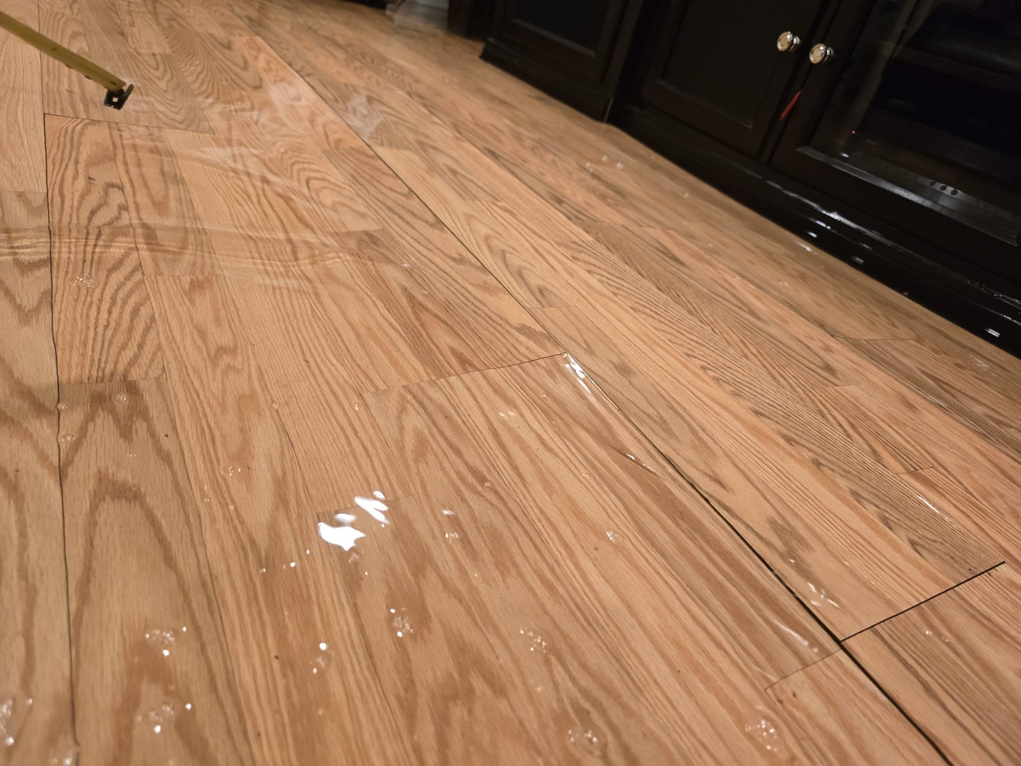 Close-up of water pooling on hardwood flooring with plank seams beginning to separate