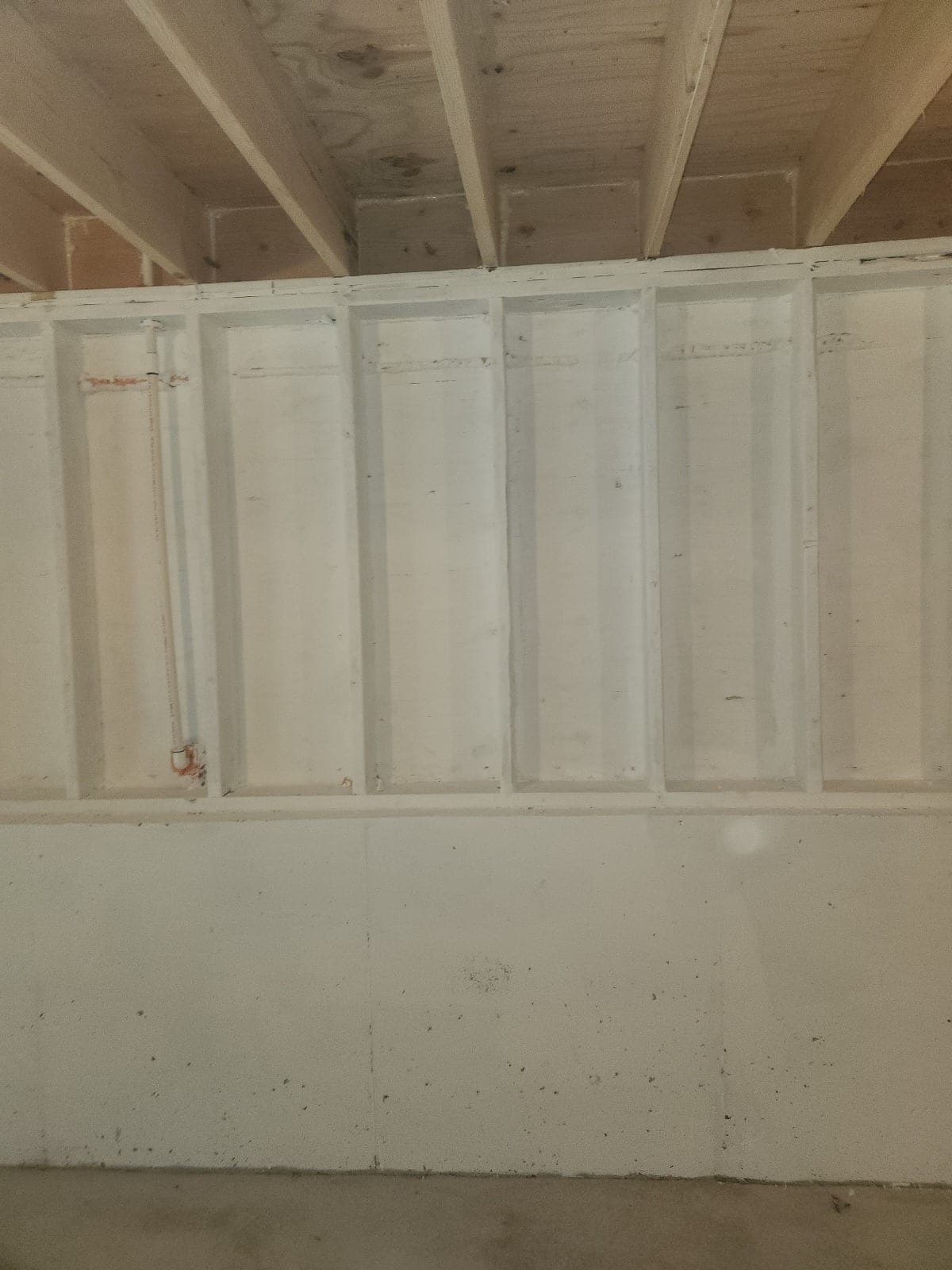 Basement wall framing and sheathing coated with white sealer after mold remediation
